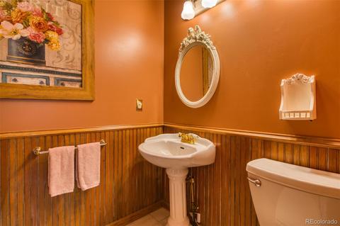 260 Lake Dr E, Divide, CO 80814 photo 17