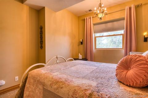 260 Lake Dr E, Divide, CO 80814 photo 19