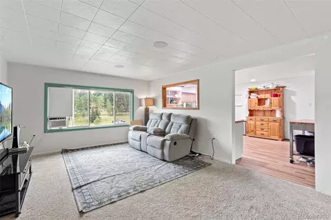 Living - 26274 Cornelius St, Conifer, CO 80433 photo 1 of 1