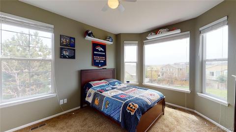 15976 E Summit Fox Ave, Parker, CO 80134 photo 17