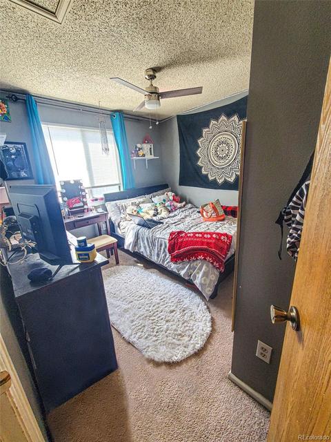 5064 E 112th Ct, Thornton, CO 80233 photo 5