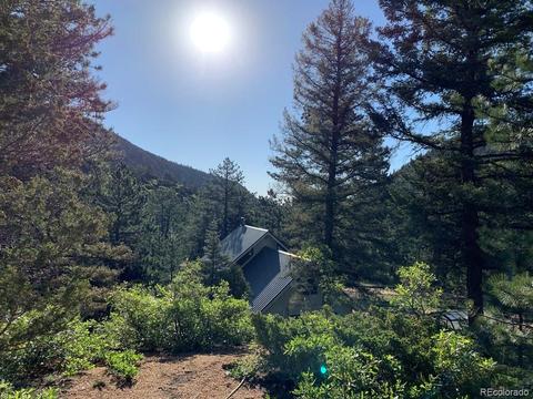 853 Basin Dr, Cotopaxi, CO 81223 photo 27