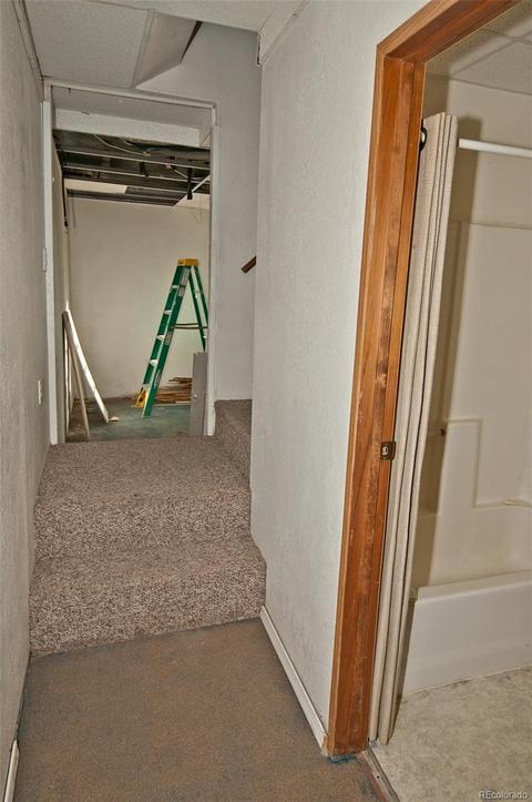 1005 Badger Rd, Crestone, CO 81131 photo 30