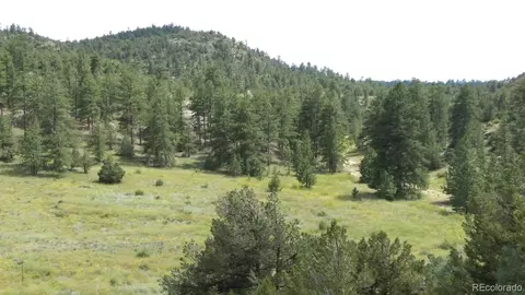 Bear Run, Cotopaxi, CO 81223 photo 2