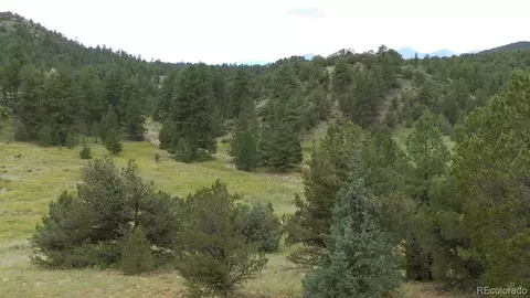 Bear Run, Cotopaxi, CO 81223 photo 3
