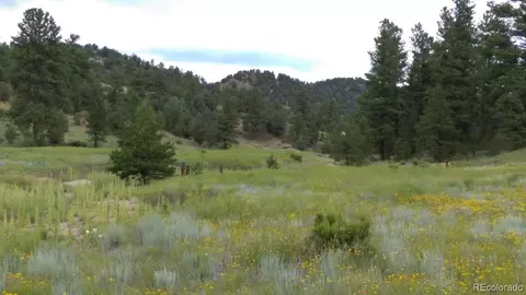 Bear Run, Cotopaxi, CO 81223