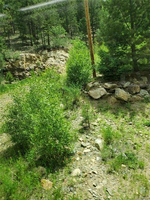 462 Doe Cir, Bailey, CO 80421 photo 2