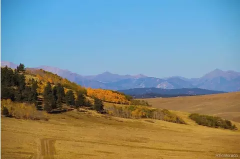 1245 Coochee Trl, Guffey, CO 80820