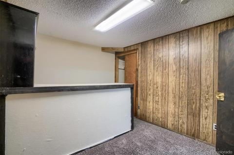 3223 E 119th Pl, Thornton, CO 80233 photo 22