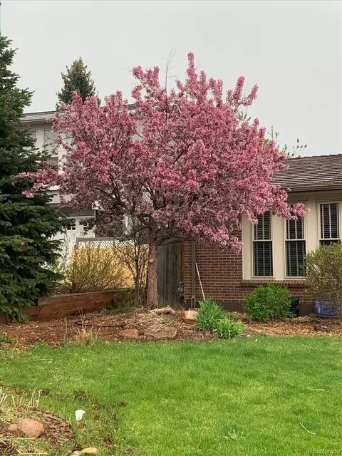 8690 E Chenango Ave, Denver, CO 80237 photo 39