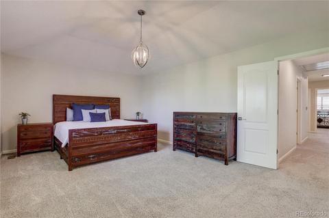 15596 E Powers Dr, Centennial, CO 80015 photo 20