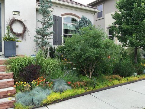 9135 E 34th Pl, Denver, CO 80238 photo 4