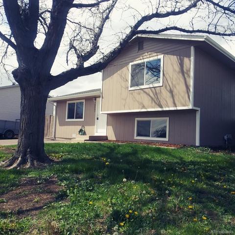 2251 E 83rd Pl, Denver, CO 80229 photo 23