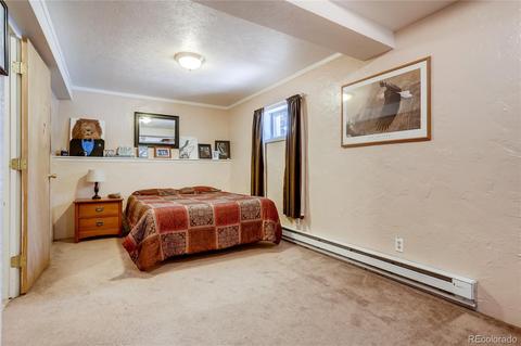 30955 Walter Dr, Conifer, CO 80433 photo 24