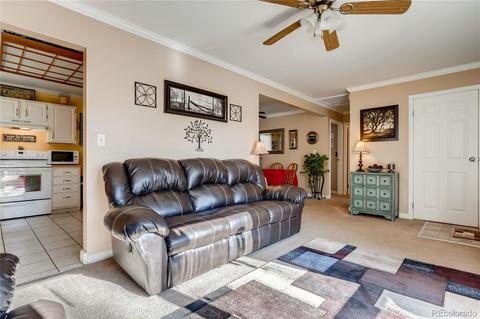 30955 Walter Dr, Conifer, CO 80433 photo 8