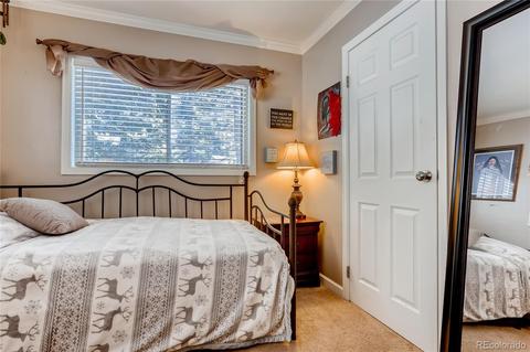 30955 Walter Dr, Conifer, CO 80433 photo 23