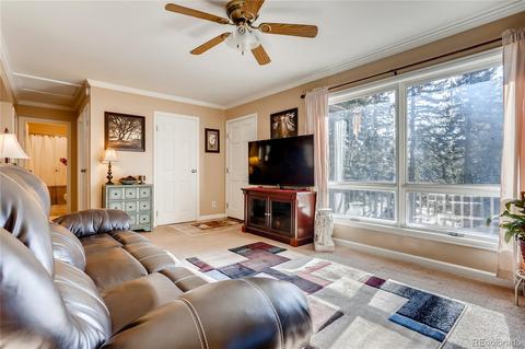 30955 Walter Dr, Conifer, CO 80433 photo 9