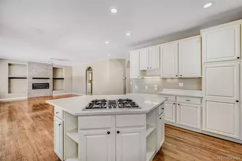 17544 E Powers Dr, Centennial, CO 80015 photo 11