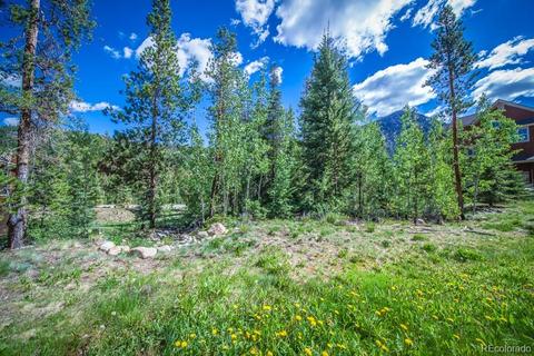 150 Tip Top Trl #6553, Dillon, CO 80435 photo 19