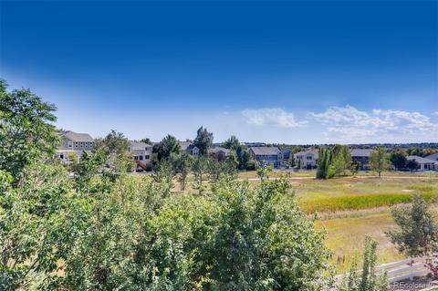 20584 E Caley Dr, Centennial, CO 80016 photo 5