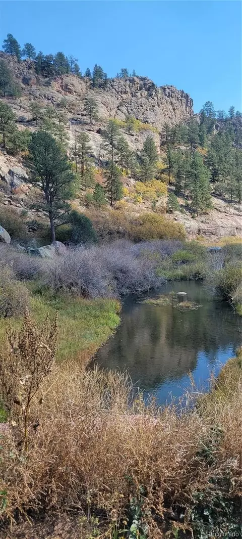 2563 Lakemoor Dr, Florissant, CO 80816