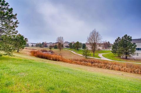 10079 Longview Dr, Lone Tree, CO 80124 photo 39