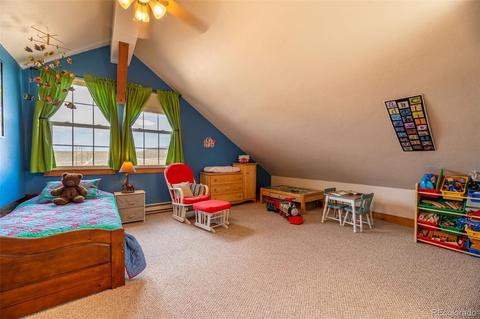 599 County Road 1015, Silverthorne, CO 80498 photo 31
