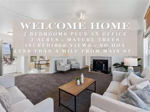 29955 County Road 371, Buena Vista, CO 81211