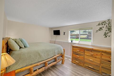 28555 Squirrel Ln, Conifer, CO 80433 photo 9