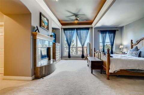 9307 E Star Hill Trl, Lone Tree, CO 80124 photo 17