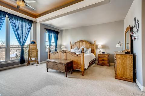9307 E Star Hill Trl, Lone Tree, CO 80124 photo 18
