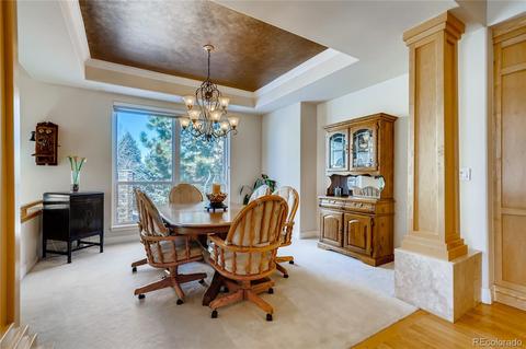 9307 E Star Hill Trl, Lone Tree, CO 80124 photo 5