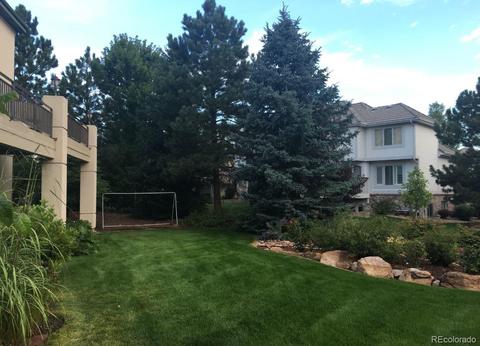 9307 E Star Hill Trl, Lone Tree, CO 80124 photo 40