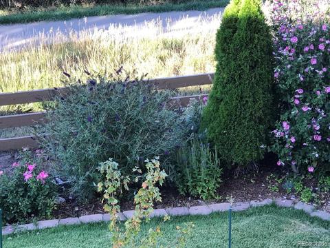 21834 E Powers Dr, Centennial, CO 80015 photo 36