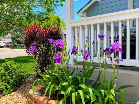 21834 E Powers Dr, Centennial, CO 80015 photo 4