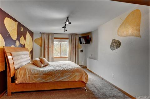 2351 County Road 72, Bailey, CO 80421 photo 27