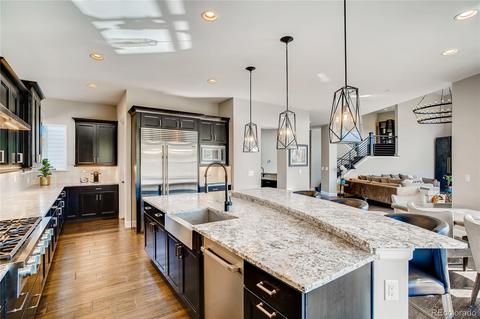 9588 Viewside Dr, Lone Tree, CO 80124 photo 10
