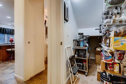 21602 E 55th Ave, Denver, CO 80249 photo 23