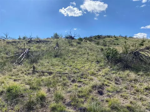 Tbd E Path, Cotopaxi, CO 81223 photo 9
