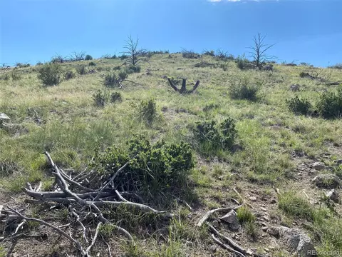 Tbd E Path, Cotopaxi, CO 81223 photo 3