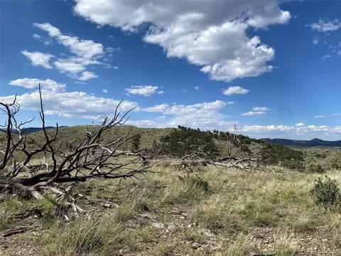Tbd E Path, Cotopaxi, CO 81223 photo 14
