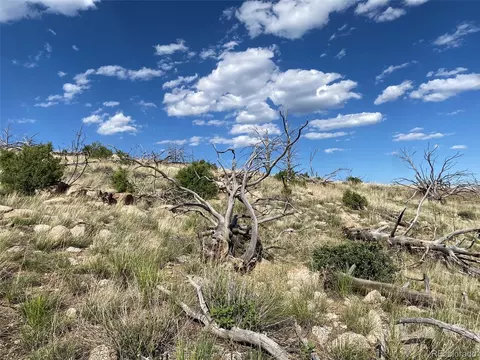Tbd E Path, Cotopaxi, CO 81223 photo 22
