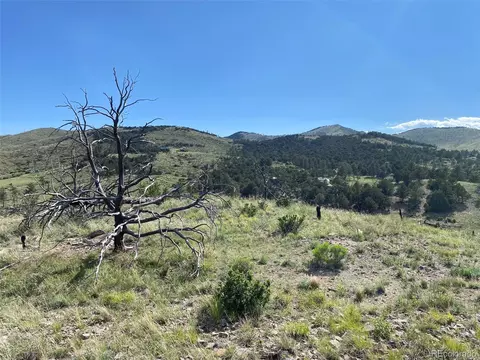 Tbd E Path, Cotopaxi, CO 81223 photo 17