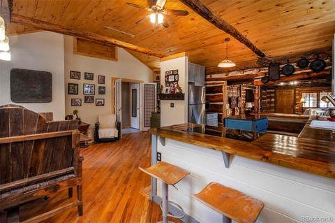 33591 Lake Ln, Pine, CO 80470 photo 4