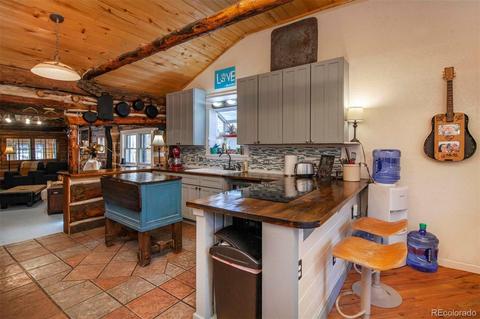 33591 Lake Ln, Pine, CO 80470 photo 7