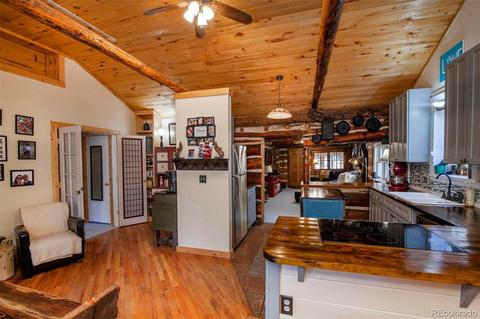33591 Lake Ln, Pine, CO 80470 photo 11