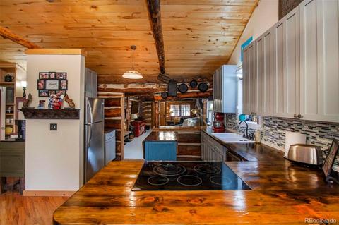 33591 Lake Ln, Pine, CO 80470 photo 10