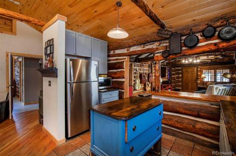 33591 Lake Ln, Pine, CO 80470 photo 17