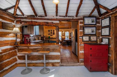 33591 Lake Ln, Pine, CO 80470 photo 20