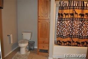 1237 S Indianfield St, Bennett, CO 80102 photo 26